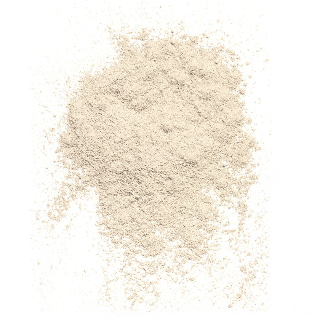 cipolle-polvere-_home