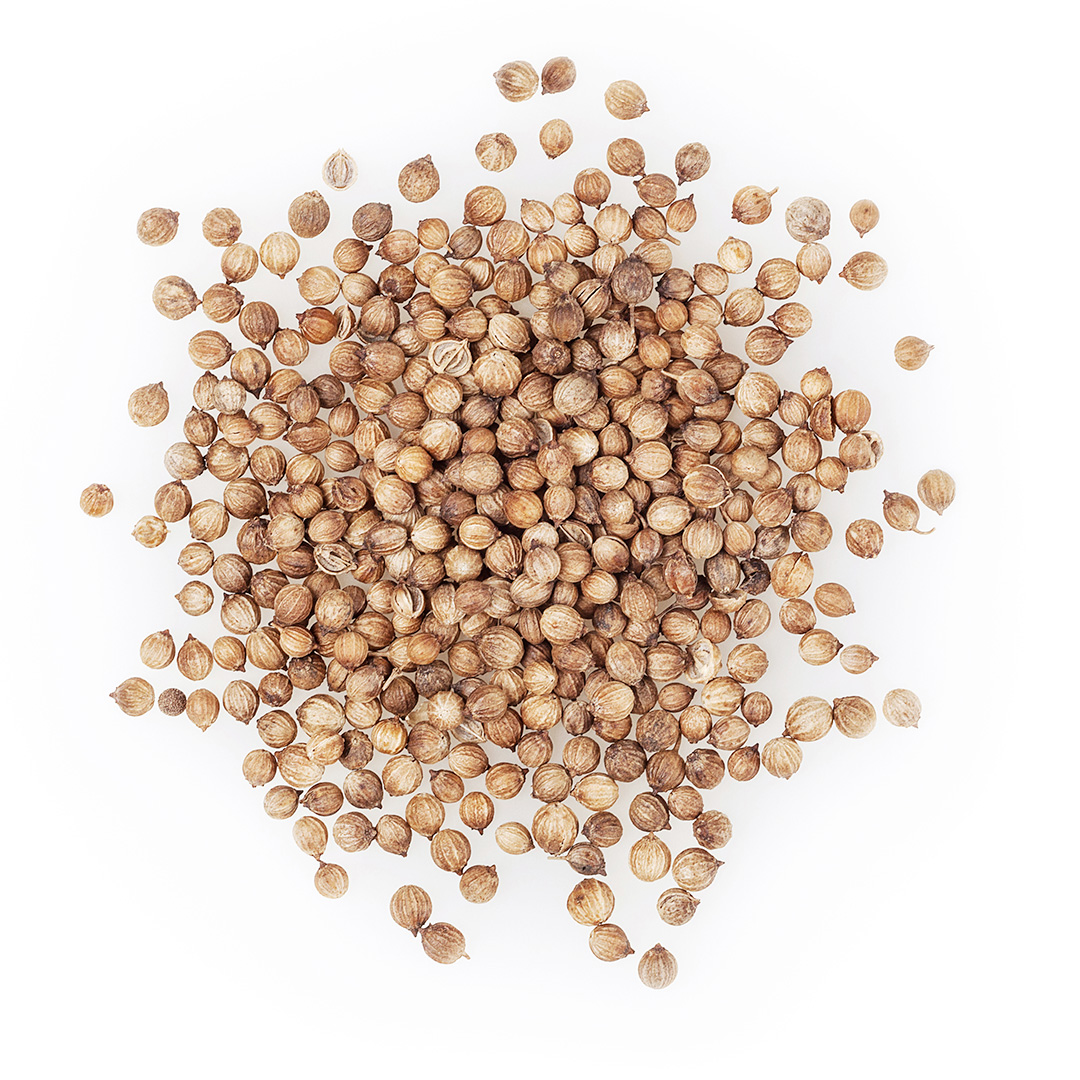 semi-coriandolo_HOME